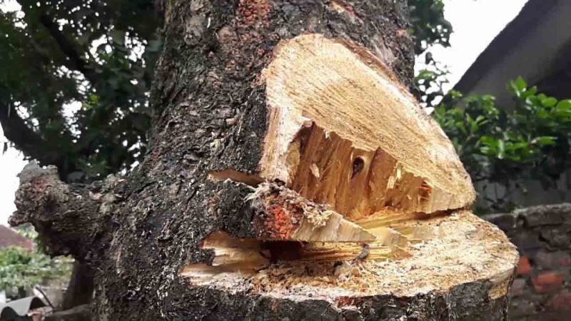 mua bàn thờ gỗ mít ở đâu