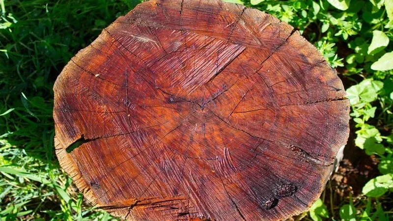 bàn thờ gỗ gụ treo tường giá bao nhiêu